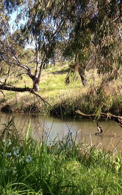 Kororoit Creek, Albion