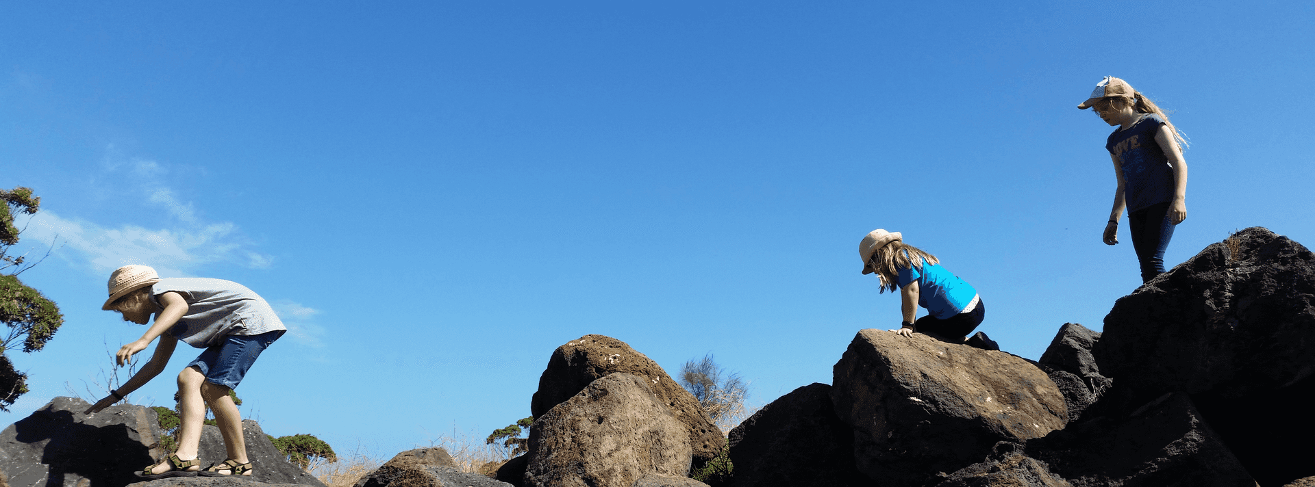 Beautiful Melbourne property