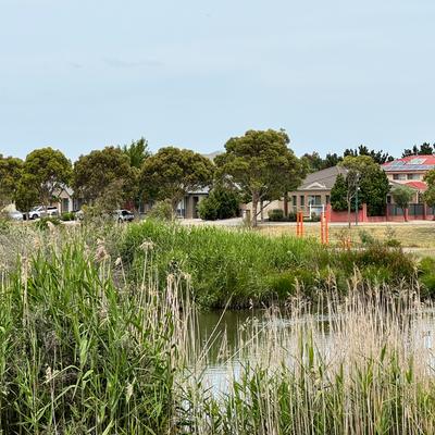 Point Cook parkland