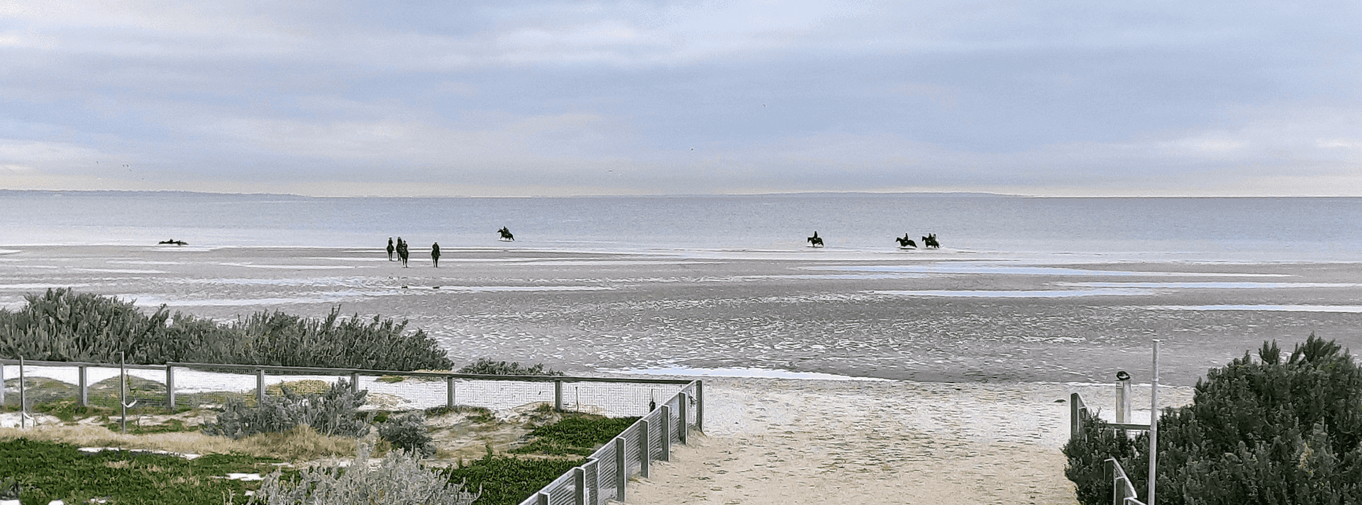 Race Horses taken for exercise at Altona/Seaholme dog beach