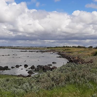 Jawbone Flora and Fauna Reserve, Williamstown North
